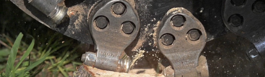 The Ultimate Guide to Greenteeth Stump Grinder Teeth